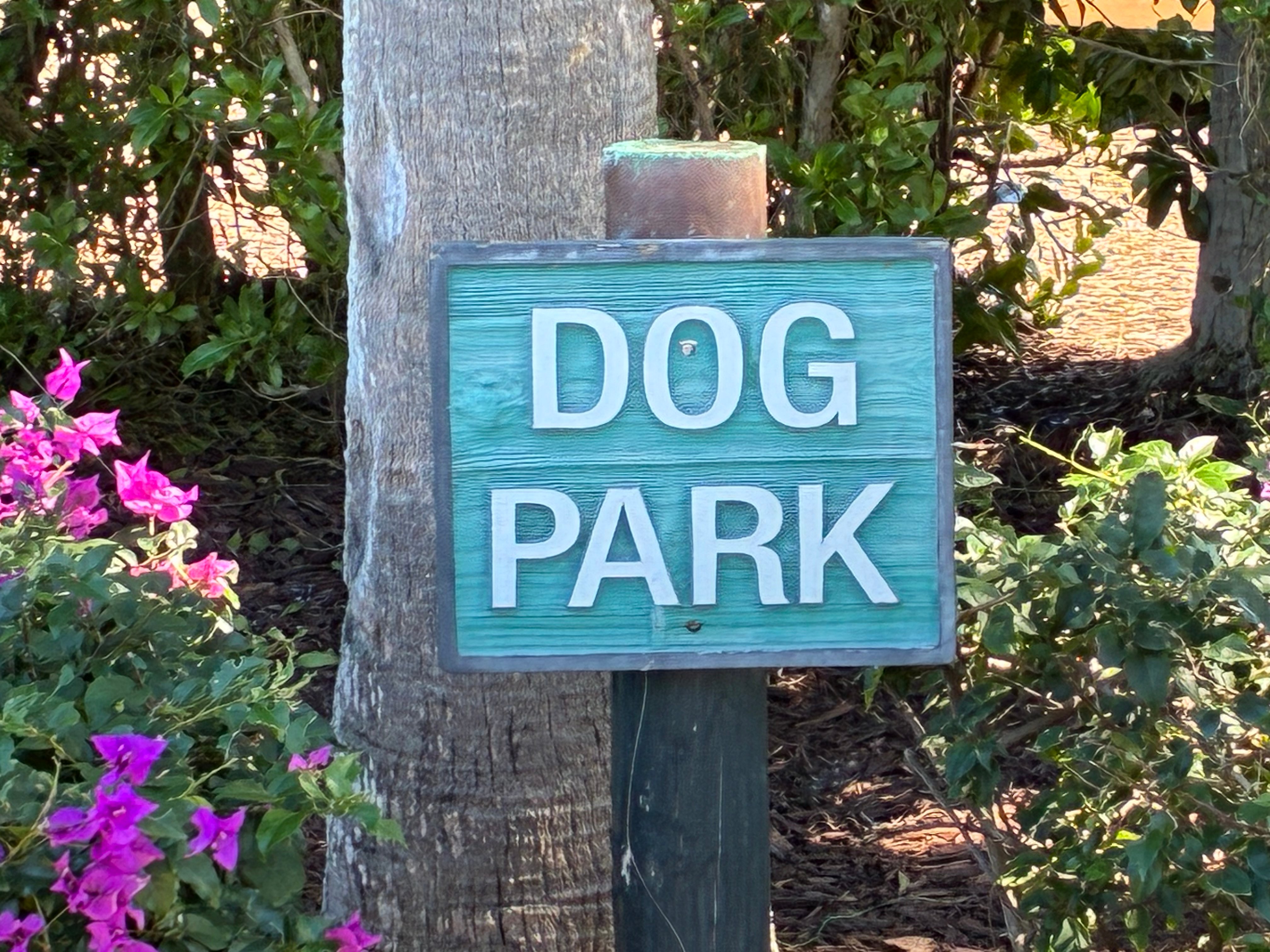Dog Park at Ocean Reef Club